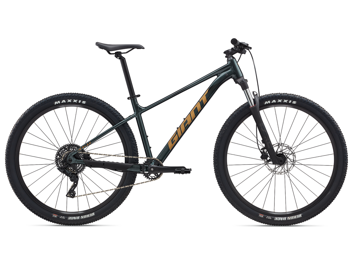 Giant Talon 29 2 - Asphalt Green