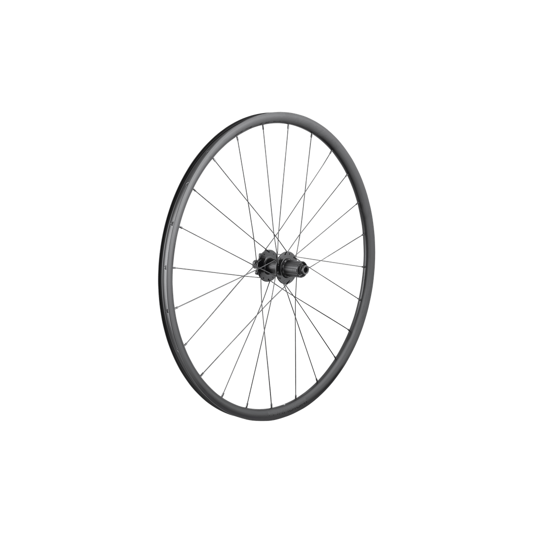 Bontrager Paradigm SL 6-Bolt Disc 24H 700c Road Wheel - Rear - image 1
